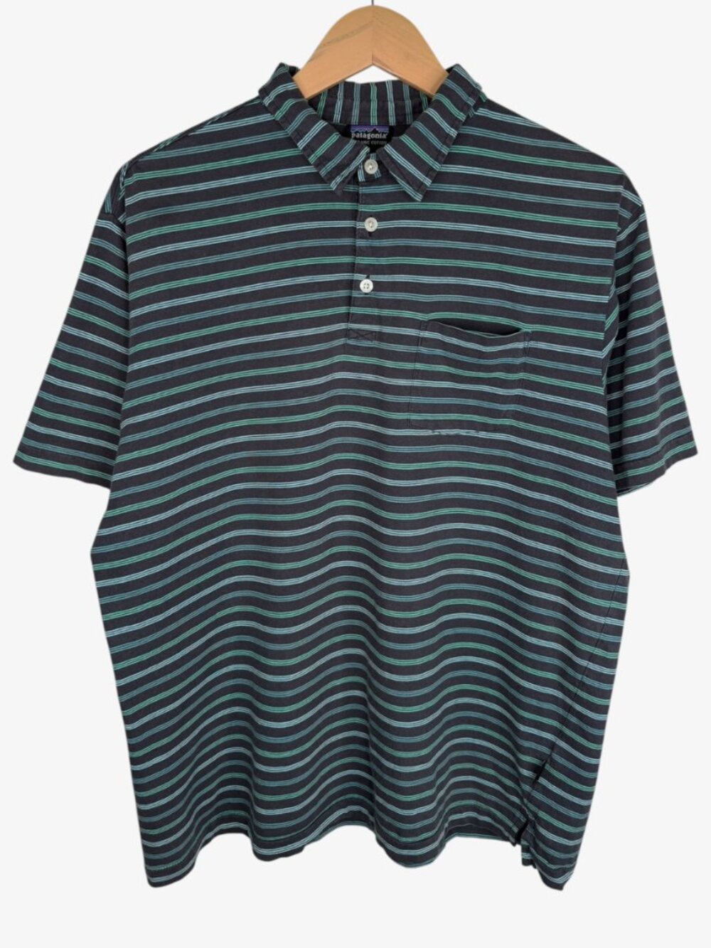 PATAGONIA Men's Daily Polo Shirt - Blue/Green - Size L